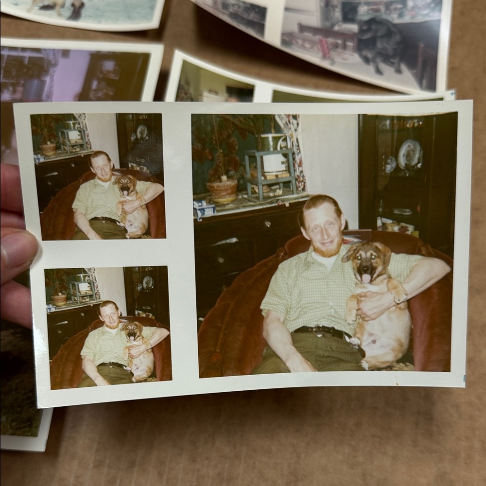 Vintage Photo Collection - Picture 2 of 11